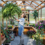 Cedar Wood and Polycarbonate Walk-In Outdoor Greenhouse Kit with Pergola - Image 3